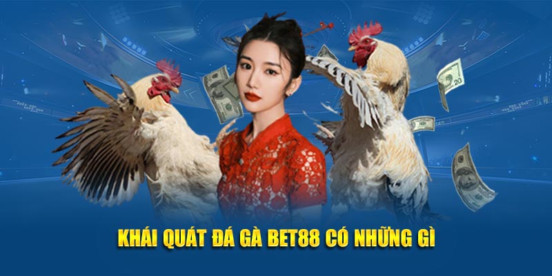 Khái quát đá gà Bet88 có những gì